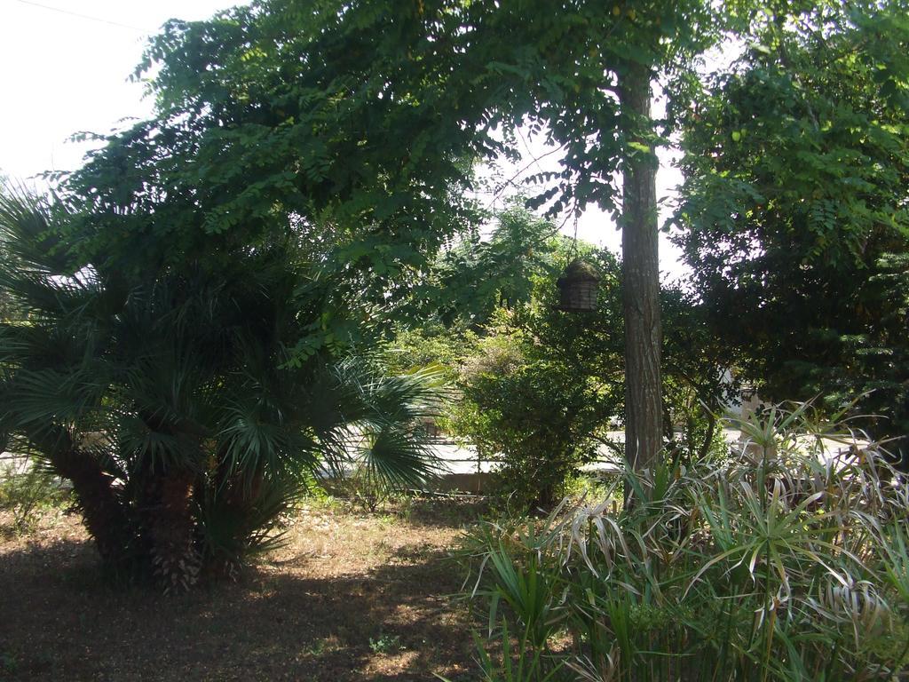 Casa Vacanza La Pajara Andrano Exterior foto